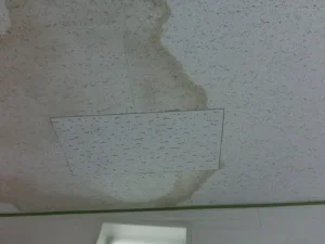 ジプトンの欠損部分を補修