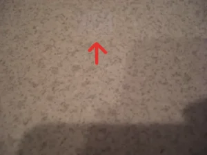 補修箇所の色が違う様子