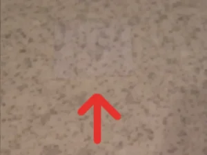 アップで見た補修箇所の様子