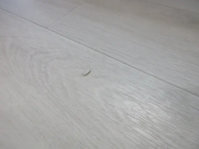 クッションフロアにできたキズの様子