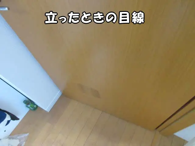 補修した箇所を立ったときの目線で見た様子