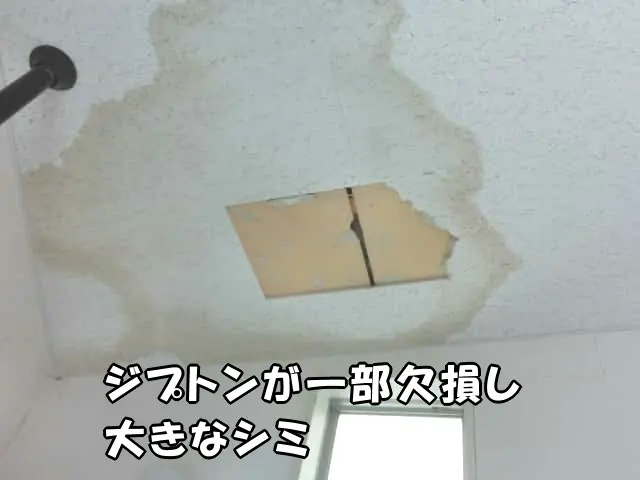 天井のジプトンが一部欠損し、シミがある状態