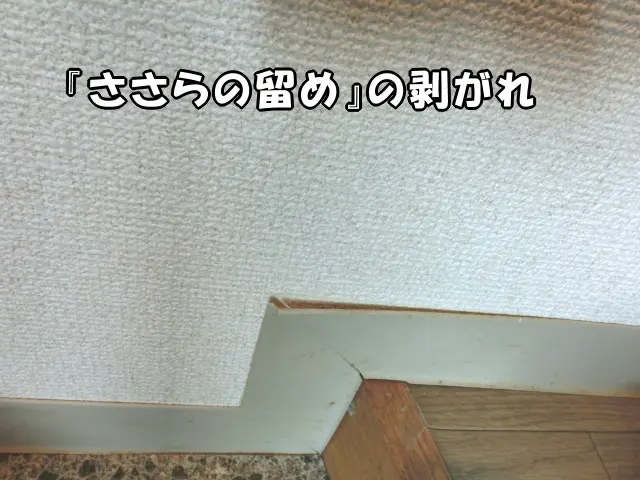ソフト巾木が剥がれている様子